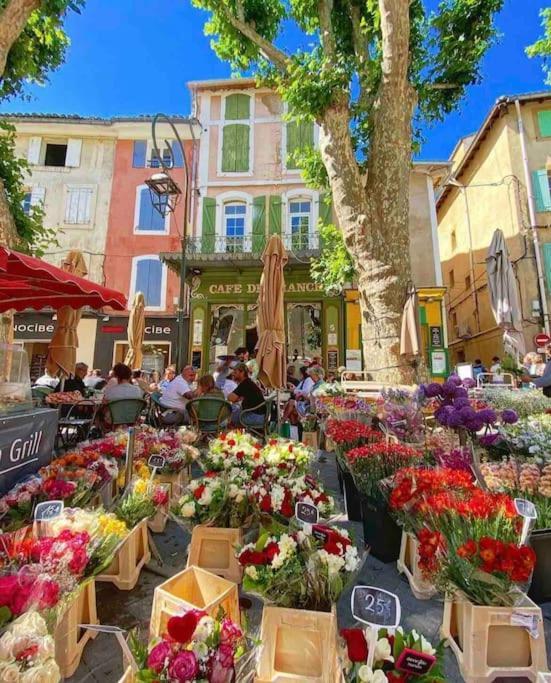 La Loge Familiale: 110M2, Place Rose Goudard, Ac L'Isle-sur-la-Sorgue Exterior photo